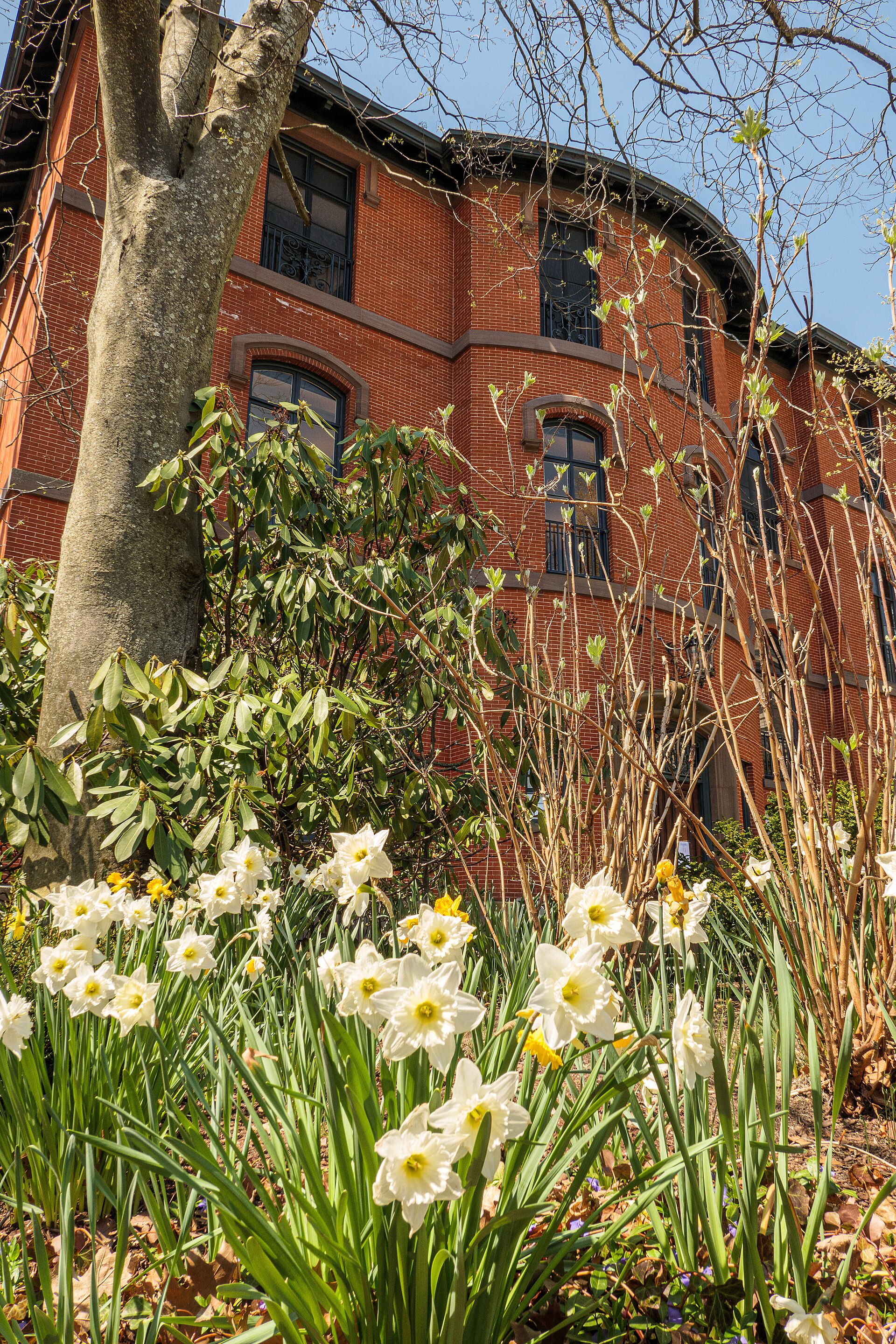 Woods-Gerry House in Providence, with flowers in the foreground.