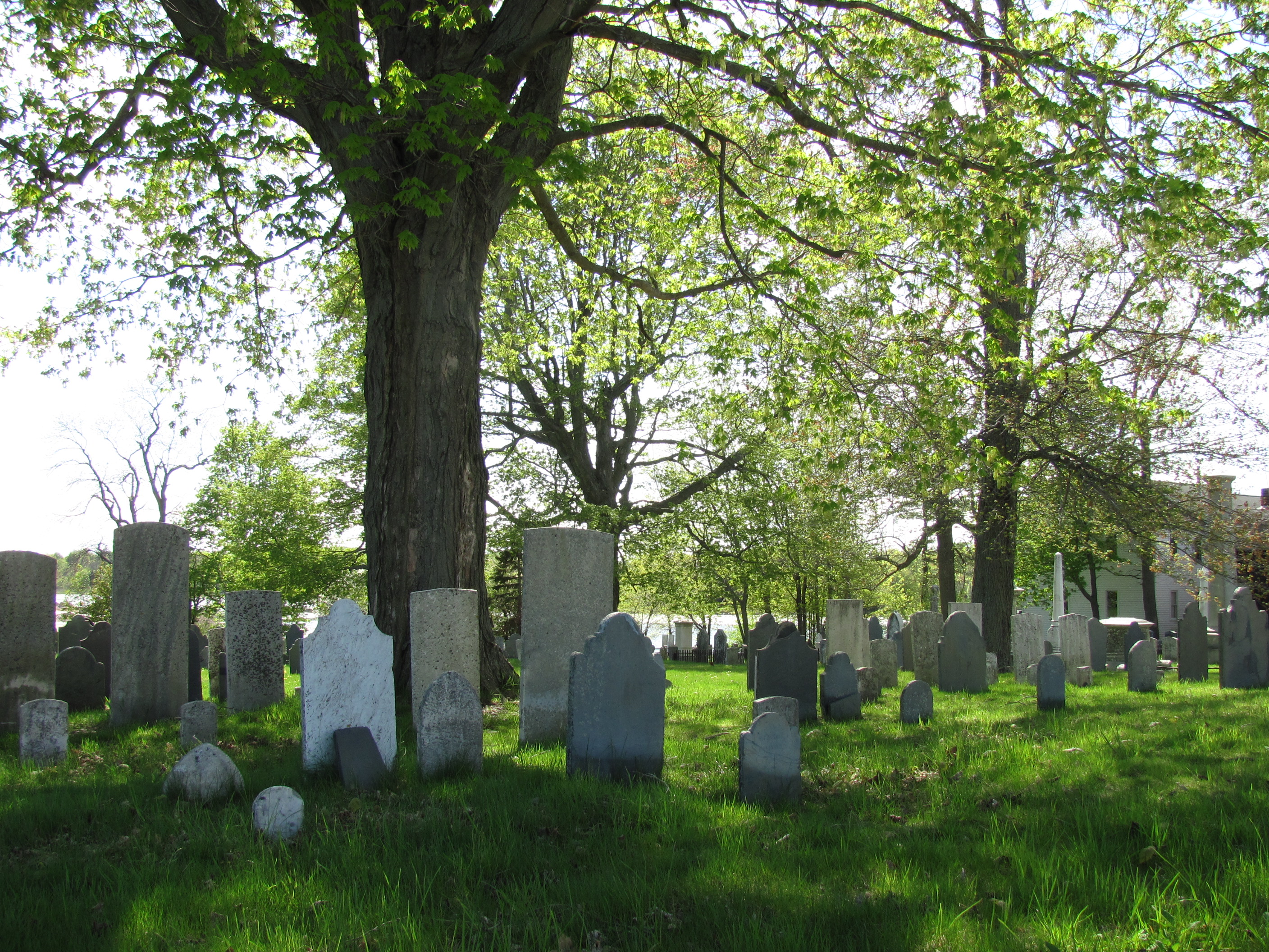 Gravestones beneath leafy trees at Old North Cemetery in Portsmouth, New Hampshire.