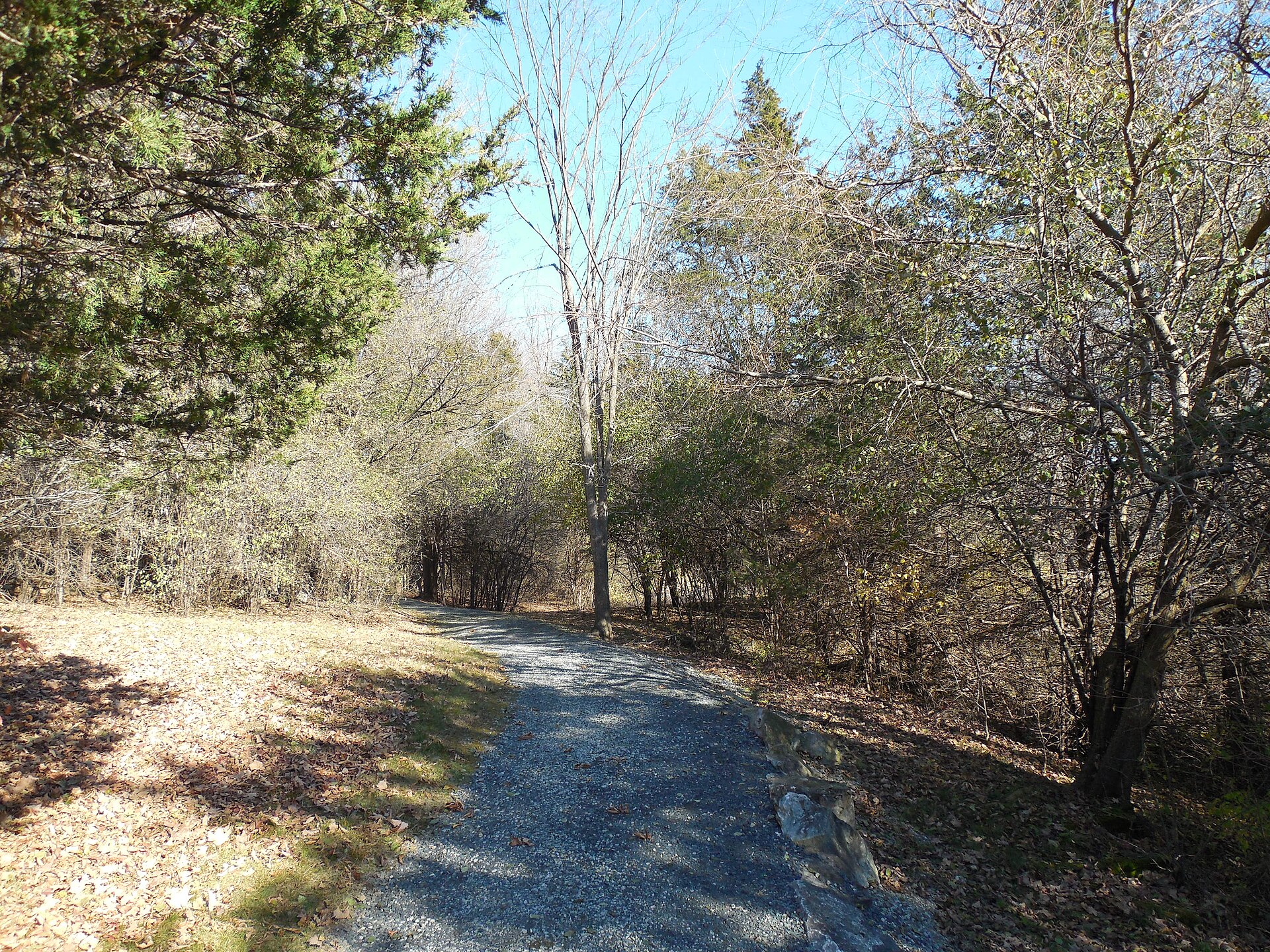 A trail through trees at Mount Independence State Historic Site.
